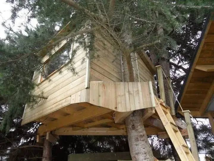 Escalier d'accès à une cabane dans les arbres en bois